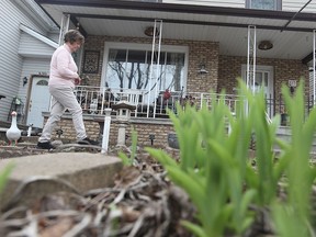 Carol Lucier stands in her front yard on Lincoln Road  in Windsor, Ontario on April 14, 2015.   The City of Windsor has ordered her to remove a section of garden and landscaping adjacent to the sidewalk. (JASON KRYK/The Windsor Star)
