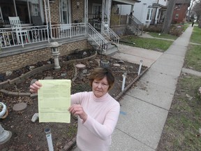 The City of Windsor has ordered Carol Lucier, shown on her Lincoln Road property April 14, 2015,  to remove a section of garden and landscaping adjacent to the sidewalk on Lincoln Road. JASON KRYK/The Windsor Star
