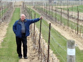 Cooper's Hawk Vinyards owner Tom O'Brien at his winery on 1425 Iler Rd in Harrow on April 27, 2015. (JASON KRYK/The Windsor Star)