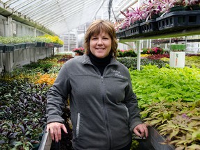 Wanda Letorneau, horticulture supervisor for the City of Windsor stands in the Lanspeary Park greenhouse on April 7, 2015. Her staff is working to ready the city parks and transition their greenhouse plants from indoor to outdoor in preparation for spring. (GABRIELLE SMITH/Special to The Windsor Star)