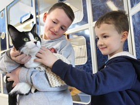 Aidan Hill, 10 and brother Daxton Hill, 5, hold Krypton, an approximately 8 -monthÐold black cat at the Windsor/Essex County Humane Society on Monday, April 6, 2015. The organization is reporting an unusual shortage of cats and dogs available for adoption.  (DAN JANISSE/The Windsor Star)