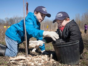 Joey Taylor, 8 and Lucas Taylor, 4, help plant 2,000 trees for Earth Day in East Windsor on Sunday April 26, 2015. (Dax Melmer/The Windsor Star)