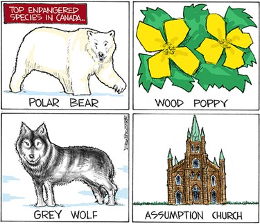 Mike Graston's Colour Cartoon For Saturday, May 30, 2015