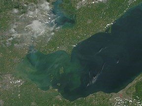 Algae blooms occur on Lake Erie in this Aug. 4, 2014 photo. NASA image courtesy Jeff Schmaltz, LANCE/EOSDIS MODIS Rapid Response Team at NASA GSFC.