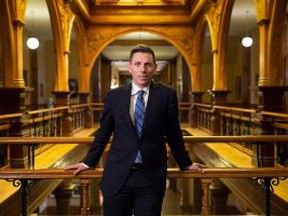 Patrick Brown, the new leader of the Ontario Progressive Conservatives, poses for a photograph at Queen's Park in Toronto on Sunday, May 10, 2015. (Matthew Sherwood for National Post)