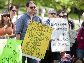 A few dozen people in Windsor joined cities around the world to protest against genetically modified foods on May 23, 2015. (DAX MELMER/The Windsor Star)