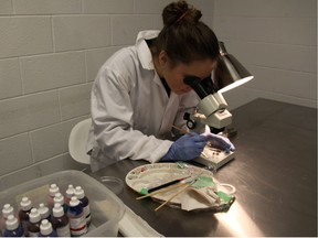 Chelsea Greenwell, a Windsor bioartist, paints a dragonfly with cell dye stain in the INCUBATOR Lab in 2013 (Photo Credit: Pearl van Geest)