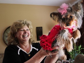 Darlene Hachey shows of her Yorkie Princess Lilly and the dress she designed for the tiny dog at her Windsor, ON. home on Tuesday, May 19, 2015.  (DAN JANISSE/The Windsor Star)