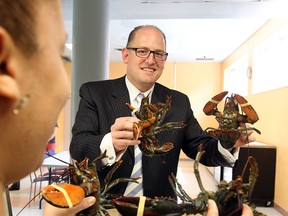 Windsor Mayor Drew Dilkens donates 4 live lobsters to volunteers at the Salvation Army in Windsor, Ontario on May 9, 2015.   The lobsters were sent by Halifax Mayor Mike Savage to Mayor Dilkens after the Windsor Express were declared winners of the NBL.    Mayor Dilkens sent a bottle of Canadian Club to the Halifax Mayor in return.  (JASON KRYK/The Windsor Star)