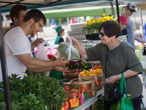 Carol Van Wissen buys fresh produce from Bouchard Gardens on the first day of the Downtown Farmer's Market, Saturday, May 30, 2015.  (DAX MELMER/The Windsor Star)