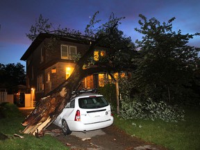 A tree fell on a car and house in the 1100 block of Argyle Road in Windsor, Ontario following heavy evening thunderstorms on May 26, 2015. The unidentified resident was home at the time, but was uninjured when the tree crashed through the upper level. (JASON KRYK/The Windsor Star)