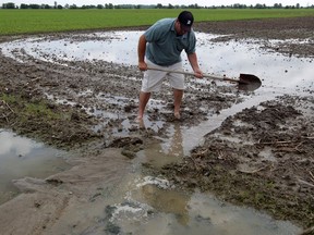 Forget boots, farmer Ray Simard jumps in with barefeet as he releases water from one of his flooded fields in Tecumseh, Monday June 15, 2015. Simard, like many are farmers, are praying for dry weather.  (NICK BRANCACCIO/The Windsor Star)