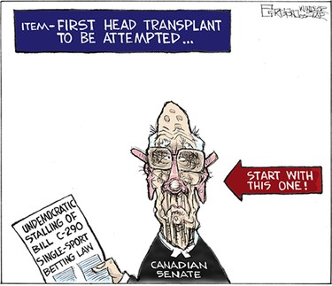 Mike Graston's Colour Cartoon For Friday, June 19, 2015