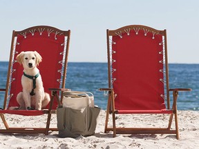 Pet-friendly Inn by the Sea, on the southern tip of Portland, Maine, has Doggie Happy Hour and a menu of Meat Roaf, Bird Dog and Canine Ice Cream.