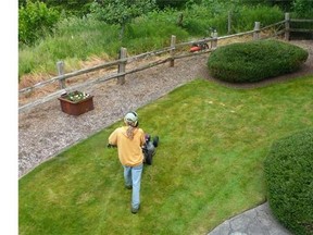 A downsized lawn surrounded by low-maintenance, moisture-saving, weed-smothering mulch on a private residence in Langley, Wash. That, along with some hardscaping and shrubs, means less grass to mow, less watering and fertilizer use. (Dean Fosdick via AP)