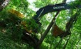 This photo, from the Friends of Save Ojibway Facebook page, shows a crane dumped deep into the woods.