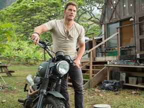 This photo provided by Universal Pictures shows, Chris Pratt, in a scene from the film, "Jurassic World," directed by Colin Trevorrow, in the next installment of Steven Spielberg's groundbreaking "Jurassic Park" series. The 3D movie releases in theaters by Universal Pictures on June 12, 2015. (Chuck Zlotnick/Universal Pictures via AP)