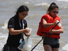 Jenny Tan, left, and Jennifer Lee take water samples at Holiday Beach in Essex County on Wednesday, June 9, 2015. The local health unit has begun their weekly testing of the water at local beaches.               (TYLER BROWNBRIDGE/The Windsor Star)