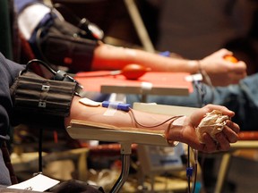 Summer is traditionally a down time in blood donations, says local territory manager Maureen Macfarlane of Canadian Blood Services. (Toby Talbot / Associated Press files)