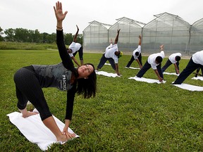 Gina Wasserlein-Peto, left, a certified yoga teacher, leads a group of JC Fresh Farms workers in a yoga session on Graham Sideroad Friday July 03, 2015. The Friday afternoon yoga session was organized by office manager Natalie Capussi, who has enjoyed personal benefits from yoga and wanted her co-workers to experience the same healthy and happy results.  About 100 employees at JC Fresh Farms have been split up into three groups for their monthly yoga experience. (NICK BRANCACCIO/The Windsor Star).