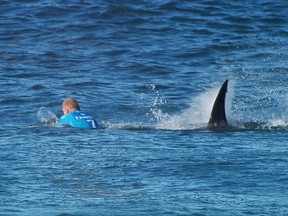 In this image made available by the World Surf League, Australian surfer Mick Flanning is pursued by a shark, in Jeffrey's Bay, South Africa,  Sunday, July 19, 2015. Knocked off his board by an attacking shark, a surfer punched the creature during the televised finals of a world surfing competition in South Africa before escaping. Fanning was attacked by a shark on Sunday during the JBay Open but escaped without injuries. (World Surf League via AP)