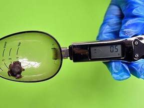 An Iberian Midwife Toad is measured during a photocall at London Zoo on August 26, 2015, to promote the zoo's annual weigh-in event. With more than 17,000 animals to weigh, the exercise is carried out on a regular basis by zookeepers as a way of keeping track of every animals health and wellbeing. AFP PHOTO / BEN STANSALLBEN STANSALL/AFP/Getty Images