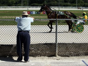 A fan watches the horses warm up during harness racing action in Leamington on Sunday, August 16, 2015.                          (TYLER BROWNBRIDGE/The Windsor Star)