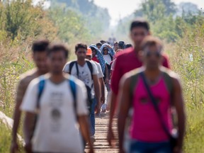 A group of migrants walk to the border with Hungary in the village of Horgos on Aug. 31, 2015 in Kanjiza, Serbia. According to the Hungarian authorities a record number of migrants from many parts of the Middle East, Africa and Asia crossed the border from Serbia earlier this week, said to be due in part to the erection of a new fence that is due to be completed at the end of this month. Since the beginning of 2015 the number of migrants using the so-called Balkans route has exploded with migrants arriving in Greece from Turkey and then travelling on through Macedonia and Serbia before entering the EU via Hungary. The massive increase, said to be the largest migration of people since World War II, led Hungarian Prime Minister Victor Orban to order Hungary's army to build a steel and barbed wire security barrier along its entire border with Serbia, after more than 100,000 asylum seekers from a variety of countries and war zones entered the country so far this year.  (Photo by Matt Cardy/Getty Images)