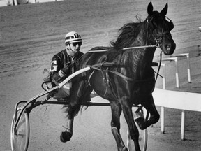 Harness driver Bill Gale practises at Windsor Raceway in 1981. (Windsor Star files)