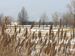 Files: The site of a proposed big box centre at the intersection of Sprucewood Ave. and Matchette Rd. near the former Windsor Raceway property.  (Windsor Star files)