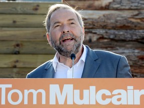 NDP Leader Tom Mulcair speaks during a campaign stop in Dundas, Ont., on Tuesday, August 25, 2015. THE CANADIAN PRESS/Frank Gunn