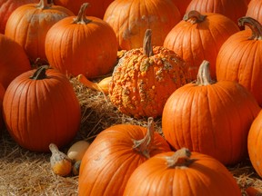 Unless you suffer from apocolocynposis, you may want to know these facts about pumpkins.