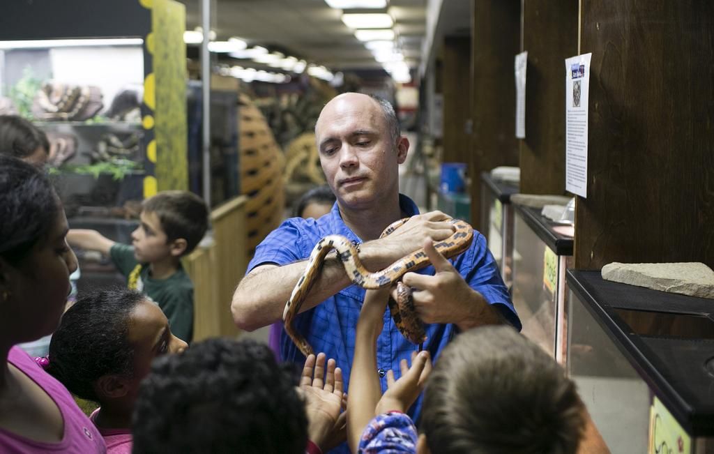 Art a big part of scientific discovery at summer camp Windsor Star