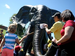Dozens of volunteers, young and old, helped give Tembo the elephant sculpture and her two babies a bath during an event held in partnership with the YMCA of Windsor and Essex County and the city's cultural affairs department on Friday, Aug. 21, 2015. (DYLAN KRISTY/The Windsor Star)