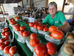 Joan Carrick, owner of Carrick Farms in LaSalle, Ont., is shown on Tuesday, Sept. 8, 2015, at her roadside business. Carrick said blight has caused serious damage to her tomato crops. (DAN JANISSE/The Windsor Star)