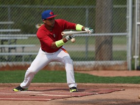 The St. Clair Saints Roberto Duncan takes part in a team practice at Lacasse Park in Tecumseh recently. The Panama native was once part of the Boston Red Sox system.                            (TYLER BROWNBRIDGE/The Windsor Star)