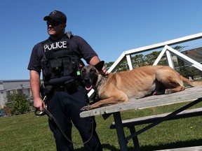 Dog handler Const. Sean Richardson works with Hasko, the latest addition to the force, at the Tilston Training Branch in Windsor on Wednesday, Sept. 16, 2015. (TYLER BROWNBRIDGE/The Windsor Star)