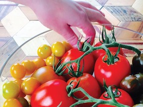 Recipes: Tomatoes are a tasty treat this time of year