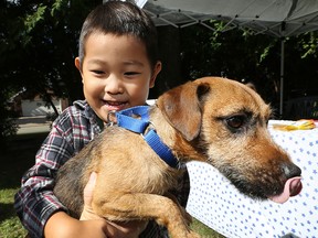 A How-To Festival was held on Saturday, Sept. 12, 2015 at the Budimir Branch of Windsor Public Library in Windsor, ON. The event featured an assortment of different how-to booths. Albert Zhou, 4, learns how to handle a dog during the event.  (DAN JANISSE/The Windsor Star)
