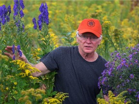 Comber farmer David Ainslie is recipient of 2015 Canadian Farmer-Rancher Pollinator Conservation Award for his decades of contributions to pollinator protection and issue outreach September 29, 2015.