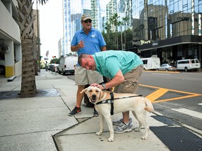Michael Jernigan strokes the head of his guide dog Treasure as he navigates the streets of Tampa, Fla., with Southeastern Guide Dogs training director Rick Holden. Jernigan lost his eyesight and part of his brain when a roadside bomb ripped into his Humvee in Iraq in 2004. He has undergone more than 30 surgeries. But he insists, thanks to a couple of dogs, he found more than he lost. (Esther McFarland/Southeastern Guide Dogs via AP)