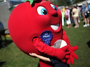 The Ruthven Big Apple receives a hug from a young attendee of the 2013 edition of the Ruthven Apple Festival. (Dax Melmer / The Windsor Star)