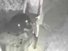 Police are seeking help identifying a suspect who stole a lawnmower and barbecue from the same yard two weeks apart. (Windsor Police Service)