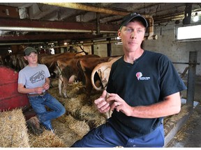 Mark Stannard and his son Owen Stannard, 14, are shown at the family's dairy farm in Kingsville, Ont., on Tuesday, Sept. 29, 2015.