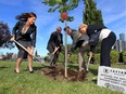 Susan Stockwell Andrews, left, president of Essex Region Conservation Foundation, Ed Sleiman, city councillor, Richard Wyma, exec. director Essex Region Conservation Foundation and Kelly Wolfe Gregoire, right, VP human resources Caesars Windsor, participate in a tree-planting ceremony at Riverfront Festival Plaza. Caesars Windsor donated $30,000 to the Foundation's community fundraising events September 30, 2015.