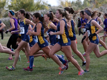 University of Windsor team members  run in The Windsor Open cross country event at Malden Park on October 17, 2015. (JASON KRYK/The Windsor Star)