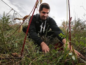 St. Clair College horticulture student Michael Turner, 26, plants dense blazing star, a threatened species, on Thursday, Oct. 15, 2015, at the south campus.
