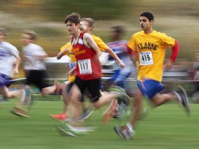 Midget boys take off at the WECSSAA cross country championships at the Malden Park on Wednesday, Oct. 21, 2015 in Windsor, Ont.