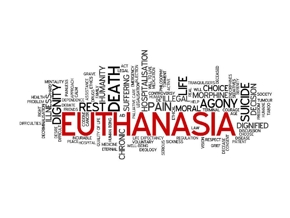 Euthanasia laws split society Windsor Star