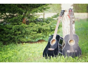 Guitars out in the forest. (Fotolia.com)